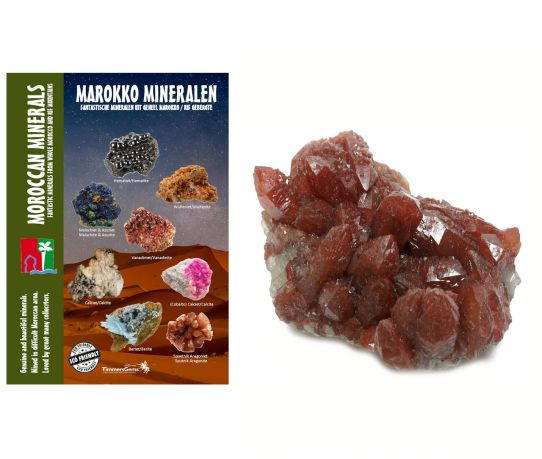 rodekwartsmarokkoweb_2.jpg